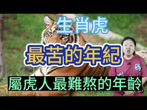 屬虎為什麼不能帶黃金|屬 虎的人 為什麼 不能 帶 黃金？